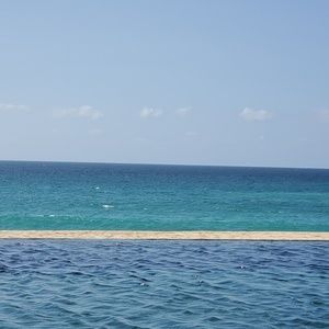 Meet your Posher, Shelley